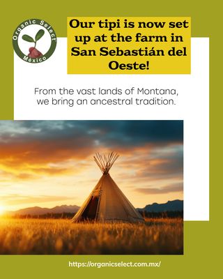 Organic Select tipi in san Sebastián