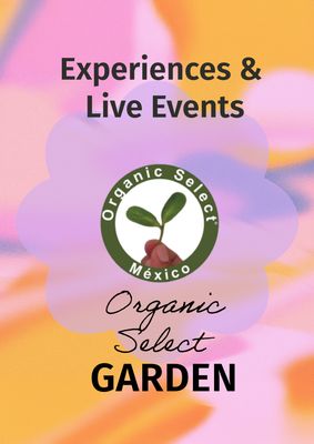 Experiences &amp; Live Events