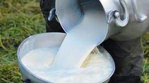 Leche de vaca bronca (cruda) fresca 940 ml