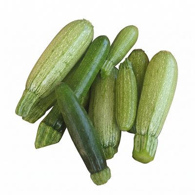 Fresh Organic Baby Zucchini Fresh Organic Baby Zucchini