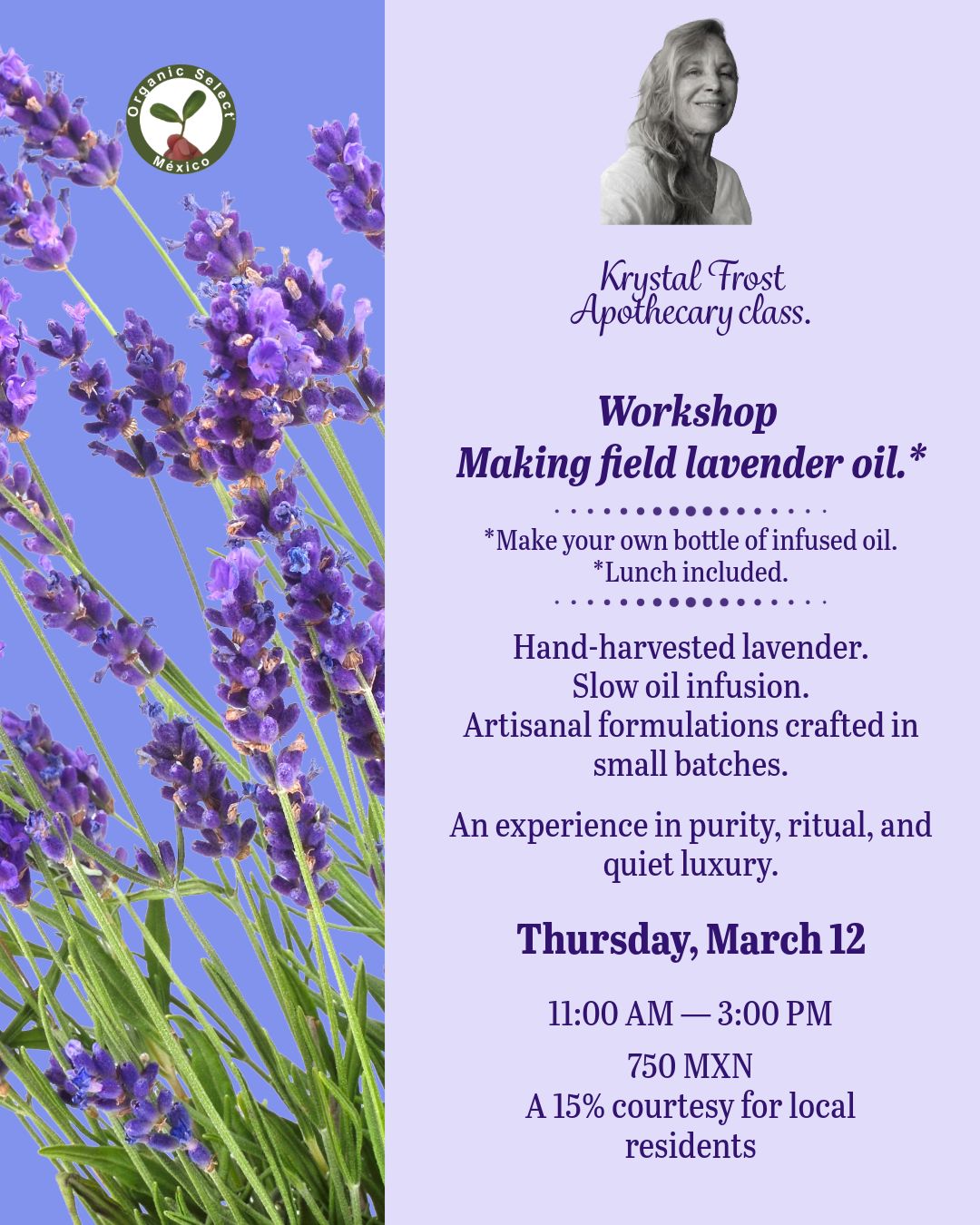 Lavender Workshop