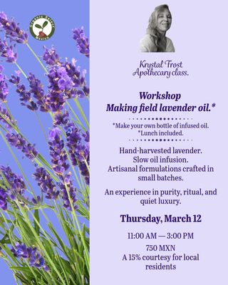 Lavender Workshop Lavender Workshop