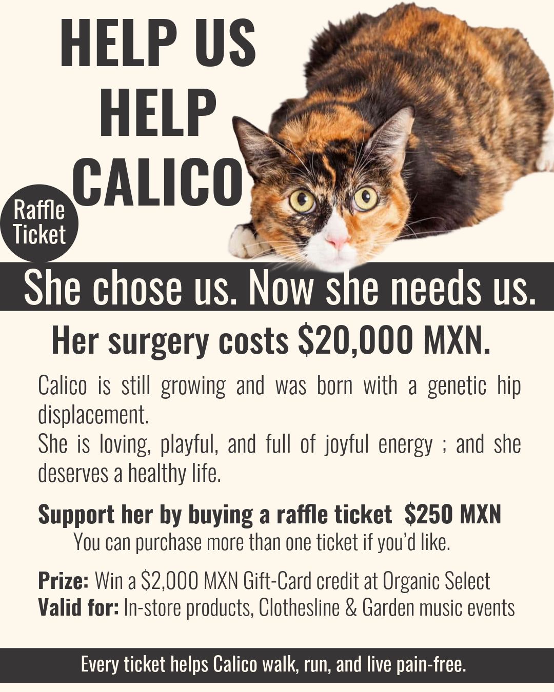 HELP CALICO - RAFFLE TICKET