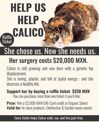 HELP CALICO - RAFFLE TICKET HELP CALICO - RAFFLE TICKET