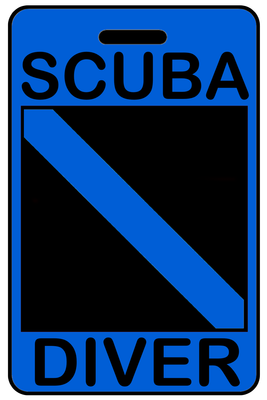 Hi-Viz  SCUBA Diver