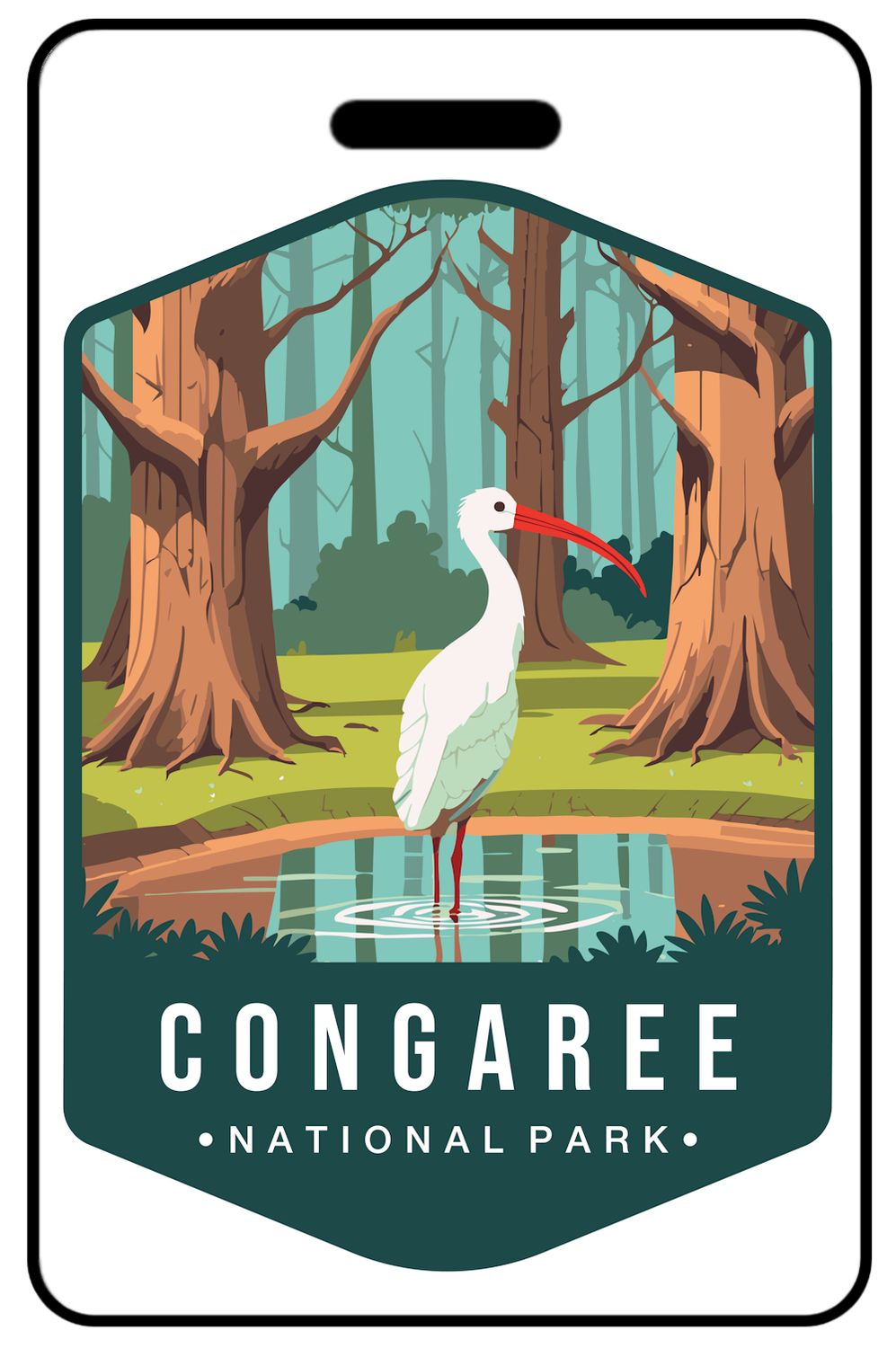 Retro Congaree National Park