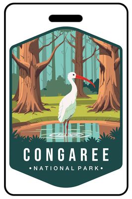 Retro Congaree National Park