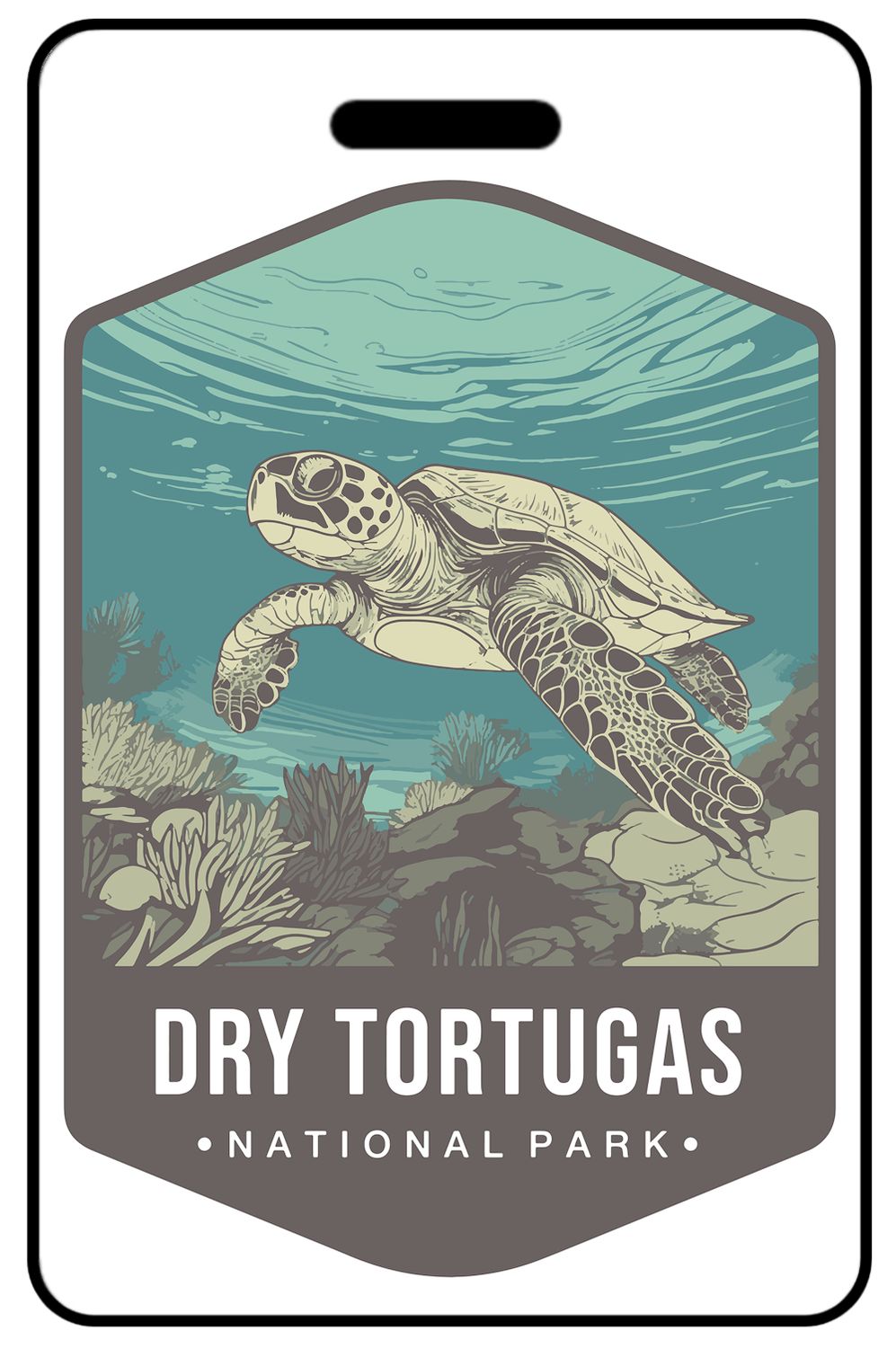 Dry Tortugas National Park Wildlife