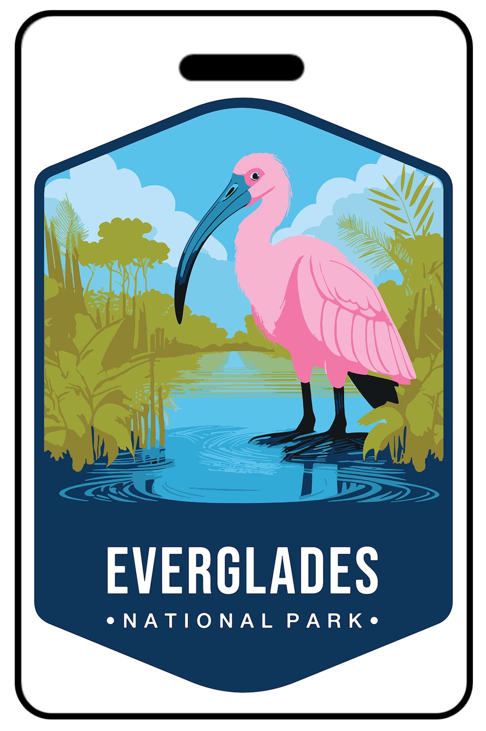 Everglades National Park Wildlife