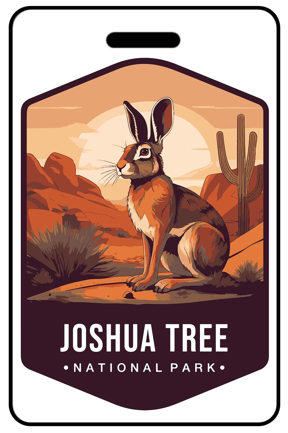 Joshua Tree National Park Wildlife