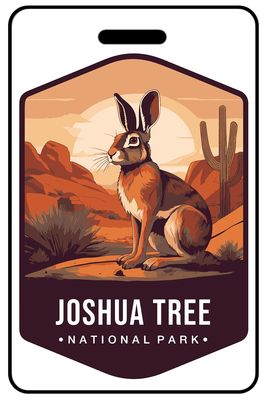 Joshua Tree National Park Wildlife