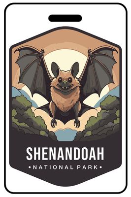 Shenandoah National Park Wildlife