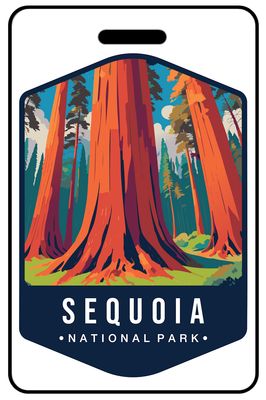 Retro Sequoia National Park