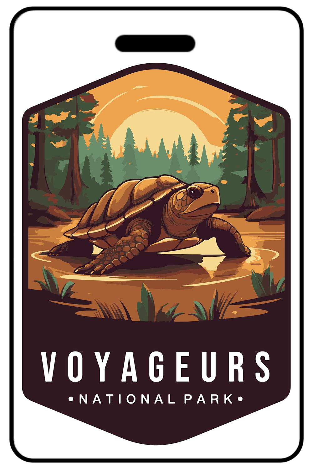 Voyageurs National Park Wildlife