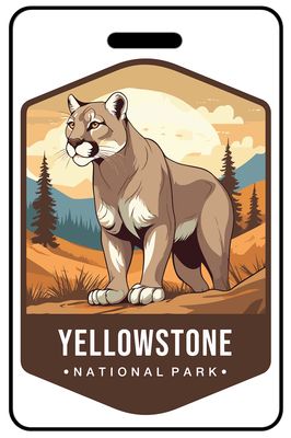 Yellowstone National Park Wildlife