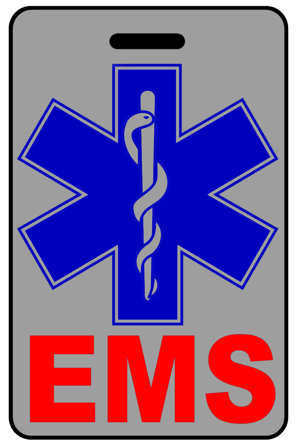 EMS with Blue Star of Life, Tag Color: Lo-Viz Gray