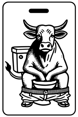 Bullshitting