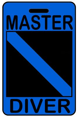 Hi-Viz Master Diver  with SCUBA Flag