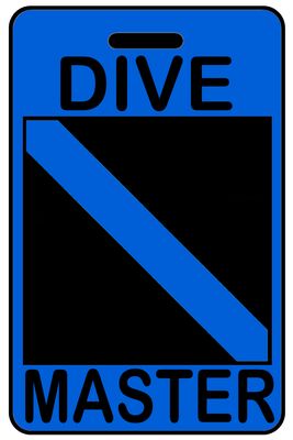 Hi-Viz Dive Master with SCUBA Flag