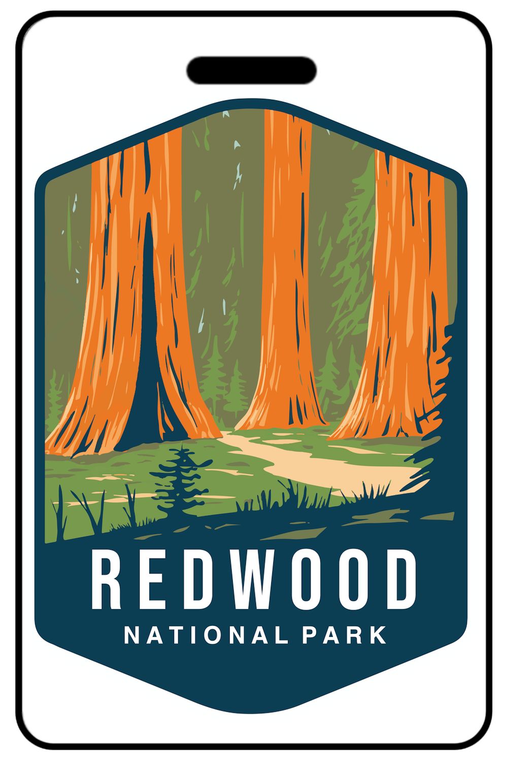 Redwood National Park