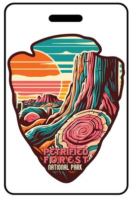 Petrified Forest National Park Arrowhead
