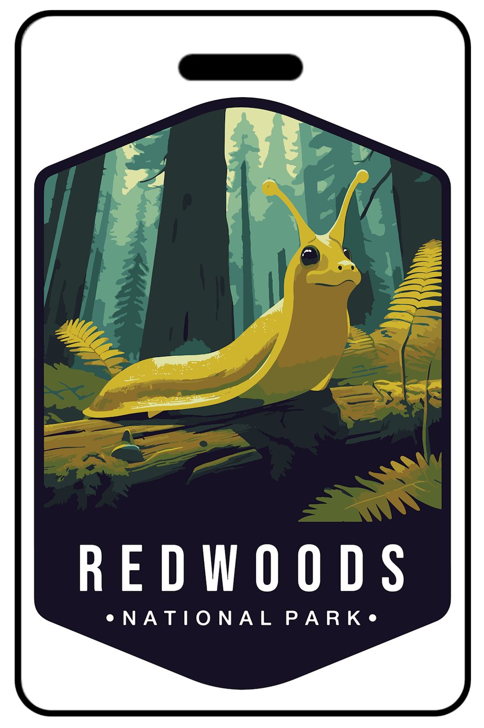 Redwood National Park Wildlife