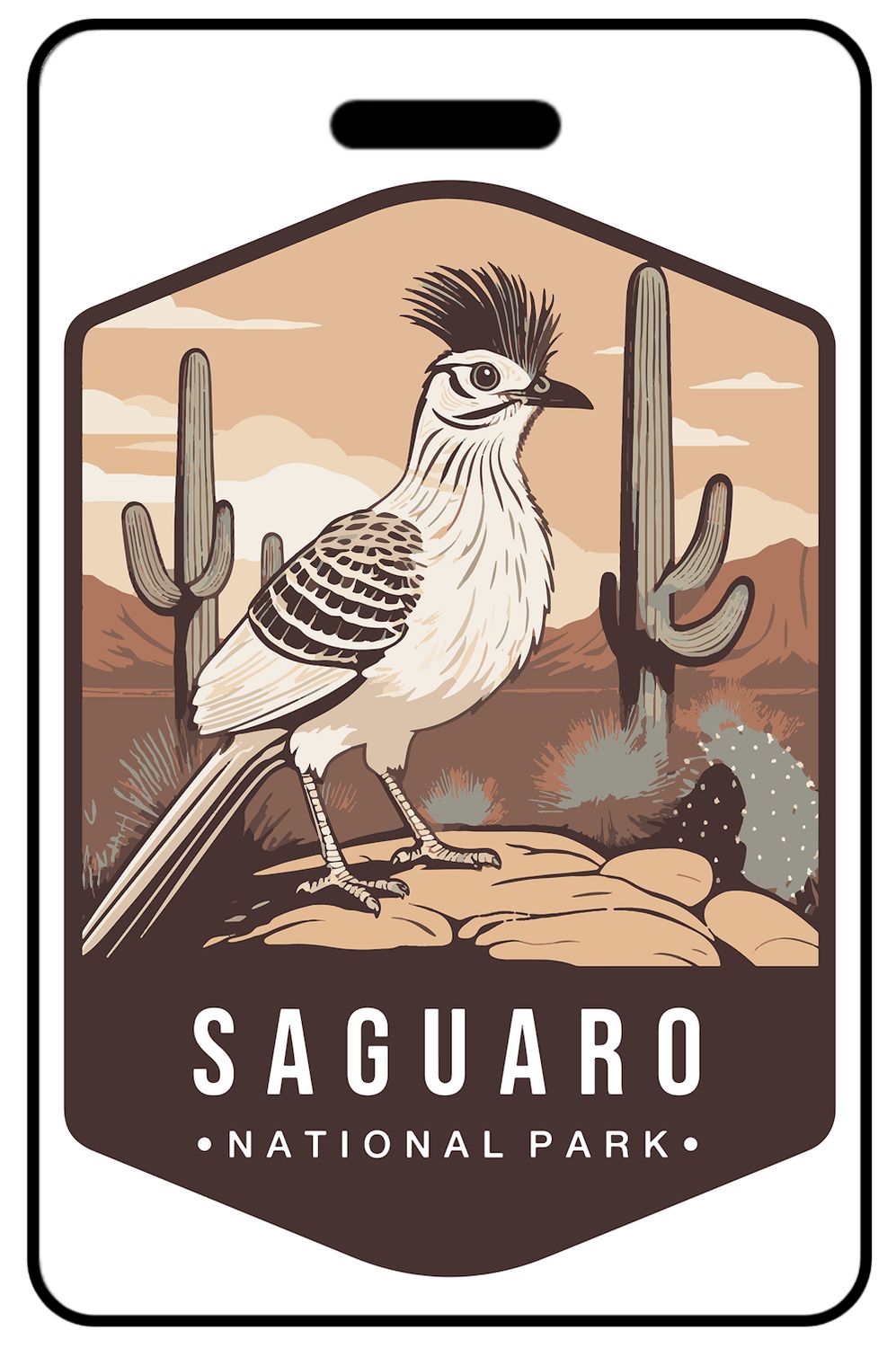 Saguaro National Park Wildlife