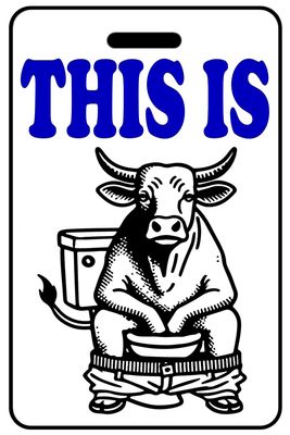 This Is Bullshitting with Blue Logo