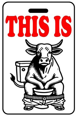 This Is Bullshitting with Red Logo