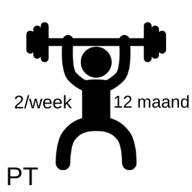 12 maanden PT &quot;Fix&quot; abonnement - 2x/week (prijs per maand)