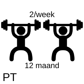 12 maanden PT &quot;Fix&quot; abonnement - 2x/week - Duo trainingen (prijs per maand)