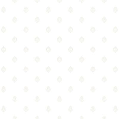 Clearance Clothing