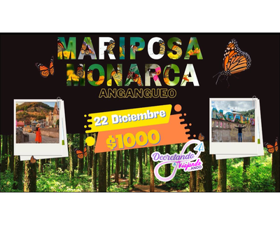 Mariposa Monarca y Angangueo
