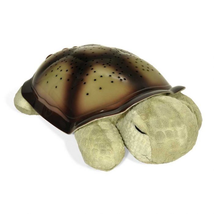 TWILIGHT TURTLES