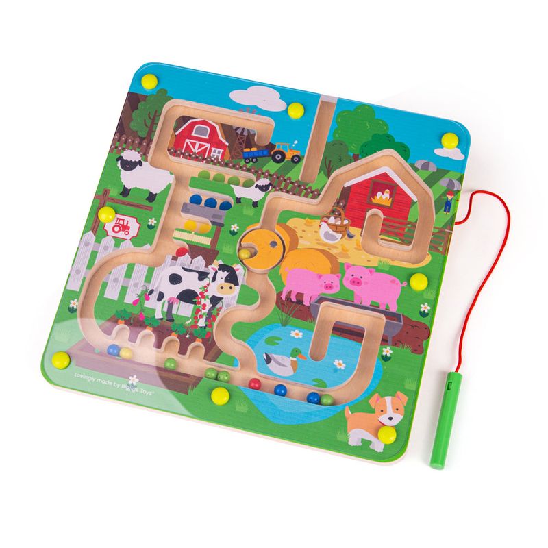 BigJigs Maze Puzzle