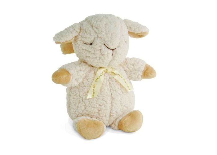 SHEEP ON THE GO