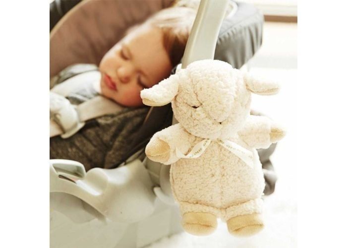 SHEEP ON THE GO