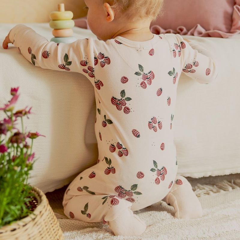 PL FA24 ConvertSleeper Raspberry