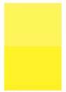 Cadmium Yellow Light [D201]