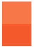 Cadmium Orange [D204], Size (Series 6): 4 Oz - Tube