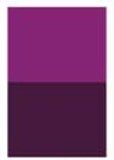 Quinacridone Violet [D246]