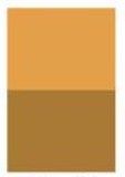 Yellow Ochre [D224], Size (Series 1): 4 Oz - Tube