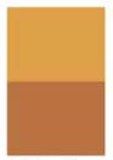 Raw Sienna [D220], Size (Series 1): 4 Oz - Tube