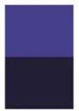 Carbazole Violet [D254]