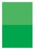Permanent Green [D212]