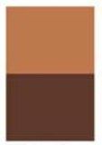 Burnt Sienna [D221]
