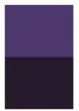 Platimum Violet [D248]
