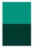 Phthalo Green [D213], Size (Series 3): 4 Oz - Tube