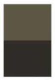 Raw Umber [D222]