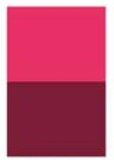 Quinacridone Red [D252]